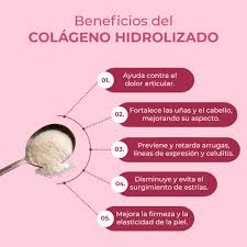 COLAGENO HIDROLIZADO X100UND PLAST